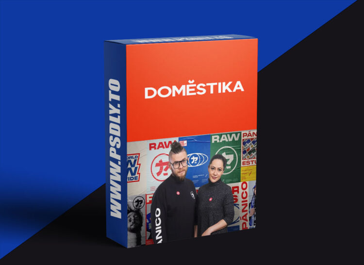 Domestika - Design Simple and Effective Visual Identities 1 Domestika - Design Simple and Effective Visual Identities