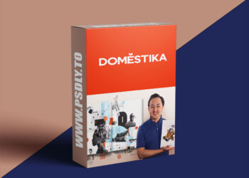 Domestika - Digital Collage for Editorials