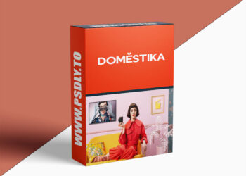 Domestika – Authentic Video Creation with Minimal Resources