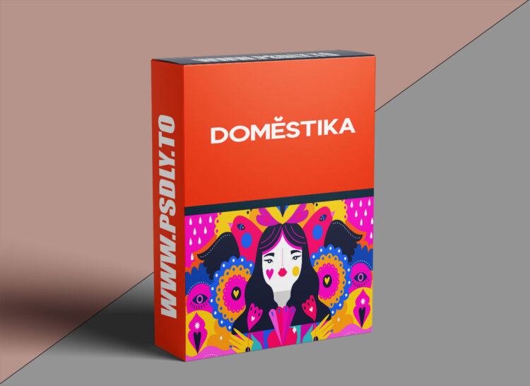Domestika – Guided project: Vectorized drawings with Illustrator 1 Domestika – Guided project: Vectorized drawings with Illustrator
