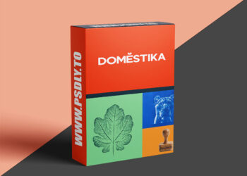 Domestika – Specialization in creative artisanal printing techniques