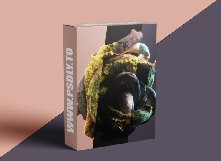 Entagma - Rendering 101 1 Entagma - Rendering 101