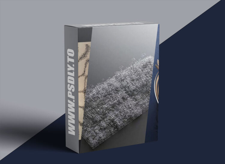 Entagma - VEX 101 1 Entagma - VEX 101