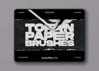 FLYERWRK - Rippers Edge - Torn Paper Brushes