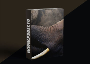 KelbyOne - Putting Emotion Into Your Wildlife Photography