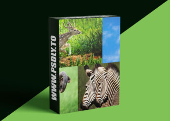 KelbyOne - Safari Photography in a Wildlife Park