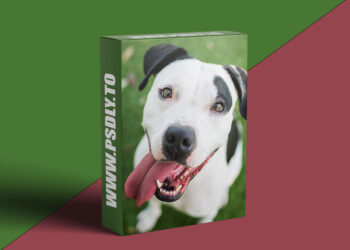 KelbyOne - The Secrets to Capturing the Best. Dog. Photos. Ever. Taken.