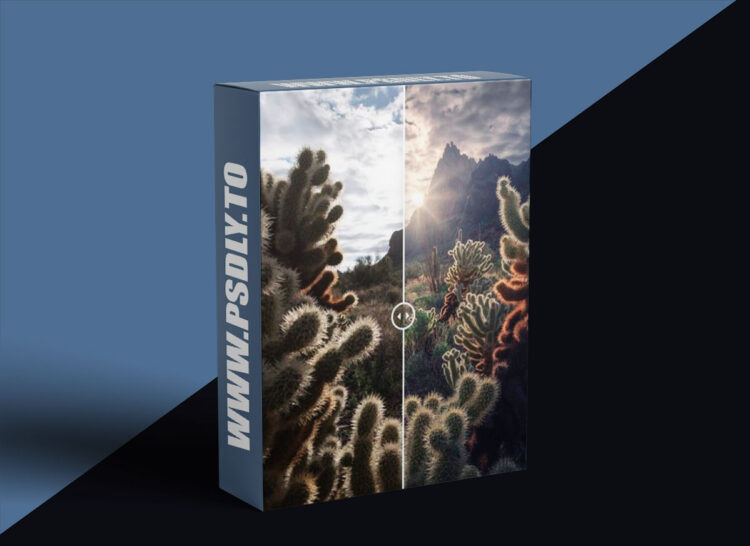 Max Rive Photography - Photoshop Sunstar Creation Tutorial 1 Max Rive Photography - Photoshop Sunstar Creation Tutorial