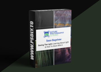 Nature Photography Classes - Sean Bagshaw - Sean Bagshaw - Seeing The Light: Learning About Light & How To Work With It