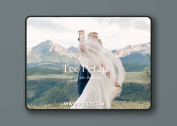 Refinedco - REFINED x Tec Petaja 2.0