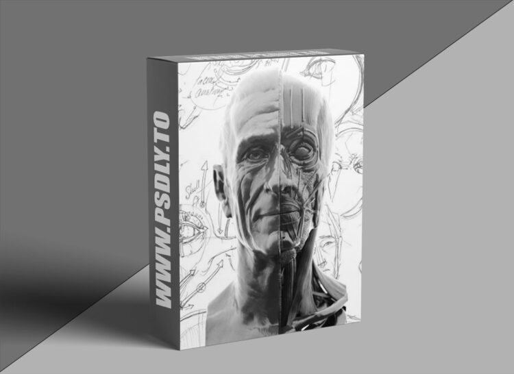 Scott Eaton - Portraiture & Facial Anatomy 1 Scott Eaton - Portraiture & Facial Anatomy