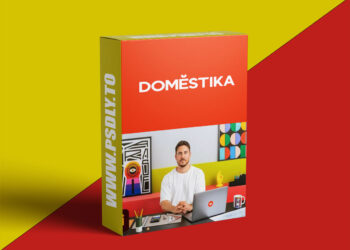 Domestika - Designing a Typographic Poster with Illustrator
