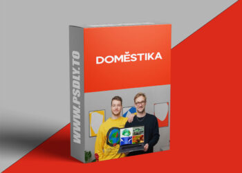 Domestika - Digital Branding: Design a Visual Identity