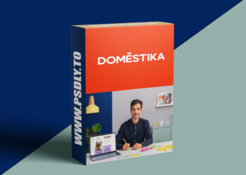 Domestika - Digital Business: Design and Launch Your Idea from Scratch