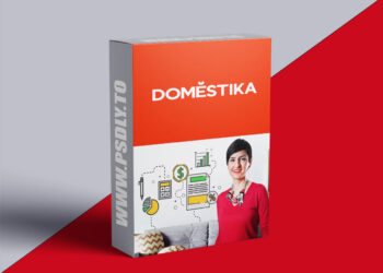 Domestika - Managing your Finances as a Creative Professional