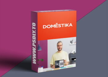 Domestika - Promotional Scriptwriting for Audiovisual Content