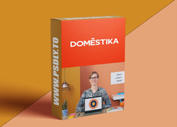 Domestika - Strategy and Research for Brands and Personal Projects