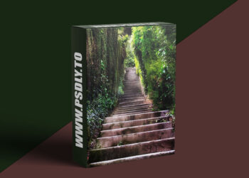 KelbyOne - Finding Your Artistic Voice