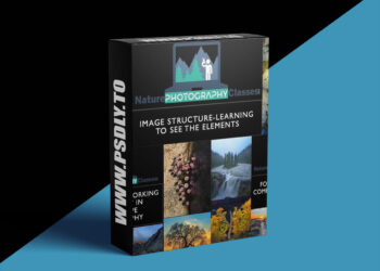 Naturephotographyclasses - Image Structure - Learning to See the Elements