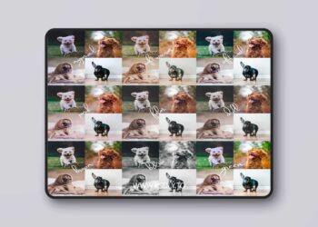 Shutterhound - Variety Pet Lightroom Presets