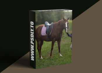 Daniel Venter Photography - Riding Afternoon