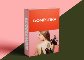 Domestika - Ink Mastery: From Design to Tattoo Specialization
