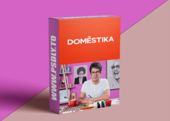 Domestika - Introduction to Portraits with India Ink and Nibs