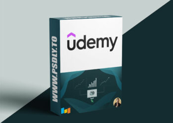 Excel Bible: Basic to Advanced in 2.5 Hours