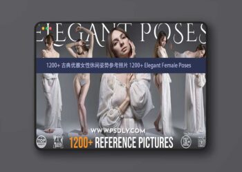 1200+ Elegant Female Pose