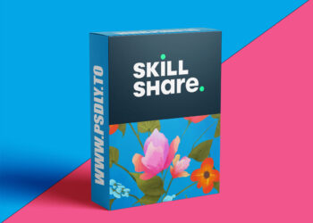 Beginner’s Guide Composition in Procreate