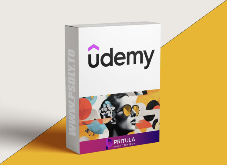 Udemy – Chief Financial Officer (CFO): Manage Company Finances | CFA 1 Chief Financial Officer (CFO): Manage Company Finances | CFA