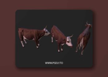 Cow complete animation Low-poly 3D model