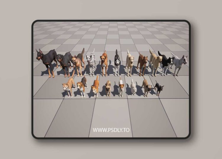 Dogs Big pack (5.1+) for Unreal Engine 1 Dogs Big pack (5.1+)