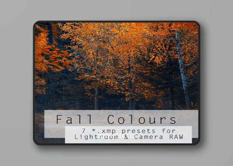 Fall Colours Presets for Lightroom & Camera RAW