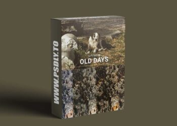 FilterGrade - 30 Old Days LUT Collection