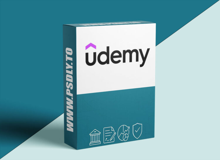 Udemy – Inside Project Finance 1 Inside Project Finance