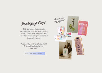 Laura Evans - The Brand and Packaging Design Course