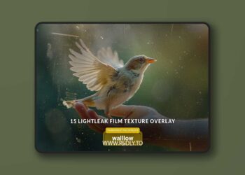 Light leaks & film texture overlays