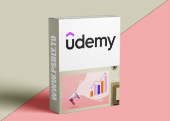 Marketing & Brand Building for Beginners