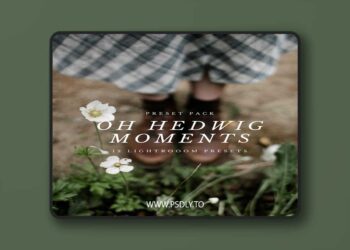 Oh Hedwig Moments - Lightroom Presets