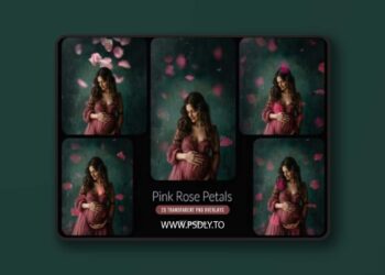 Pink rose flower petals transparent PNG overlays