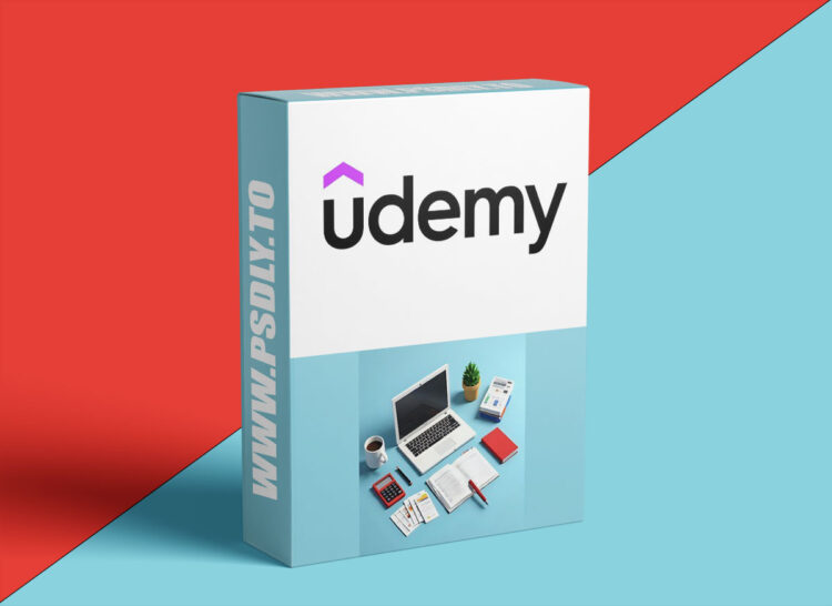 Udemy – Practical Accounting for Small UAE Businesses 1 Practical Accounting for Small UAE Businesses