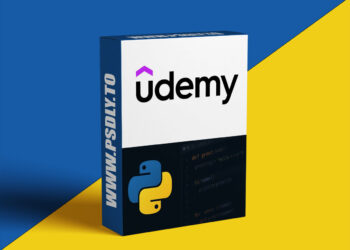 Python for beginners and VibeCoders