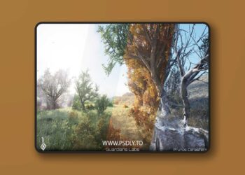 Cherry Plum, Prunus cerasifera - Seasons, Tree Pack (5.1 – 5.6)