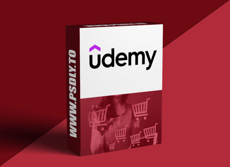 Udemy – Digital Marketing Strategy 1 Digital Marketing Strategy