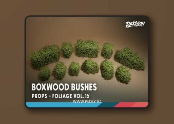 Foliage VOL.16 - Boxwood Bushes (Nanite & Low Poly) [5.1 – 5.6]