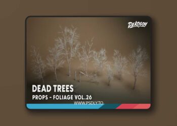 Foliage VOL.26 - Dead Birch Trees (Nanite + Low Poly) [5.1 – 5.6]