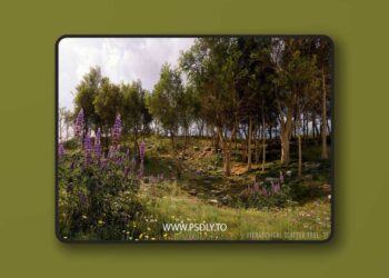 Hierarchical Scatter Tool (5.5)