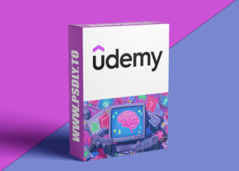 Memory Games: Proven Daily Brain Workouts That Actually Work