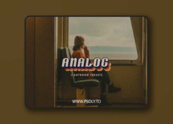 20 ANALOG LIGHTROOM PRESETS